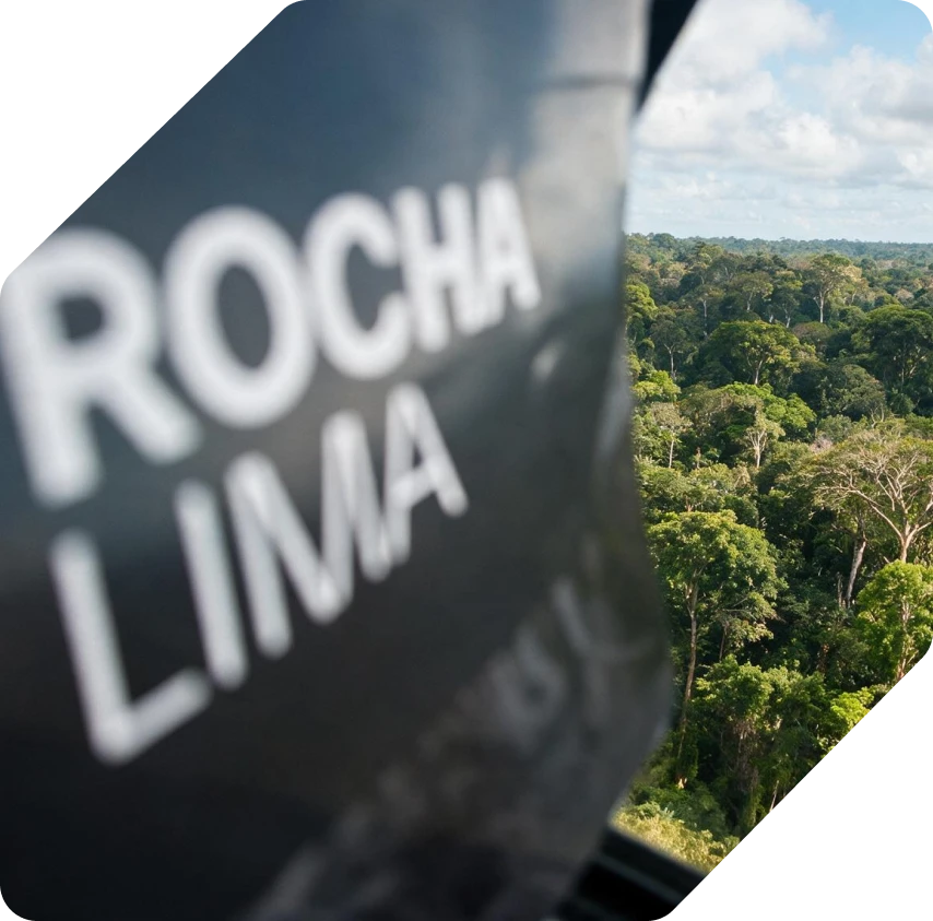 MEIO-AMBIENTE-ROCHALIMA-1
